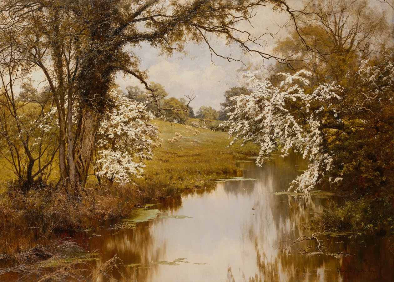 Alıçların Yayıldığı Yer Gaily Bloom (tuval üzerine yağlı boya) by Edward Wilkins Waite