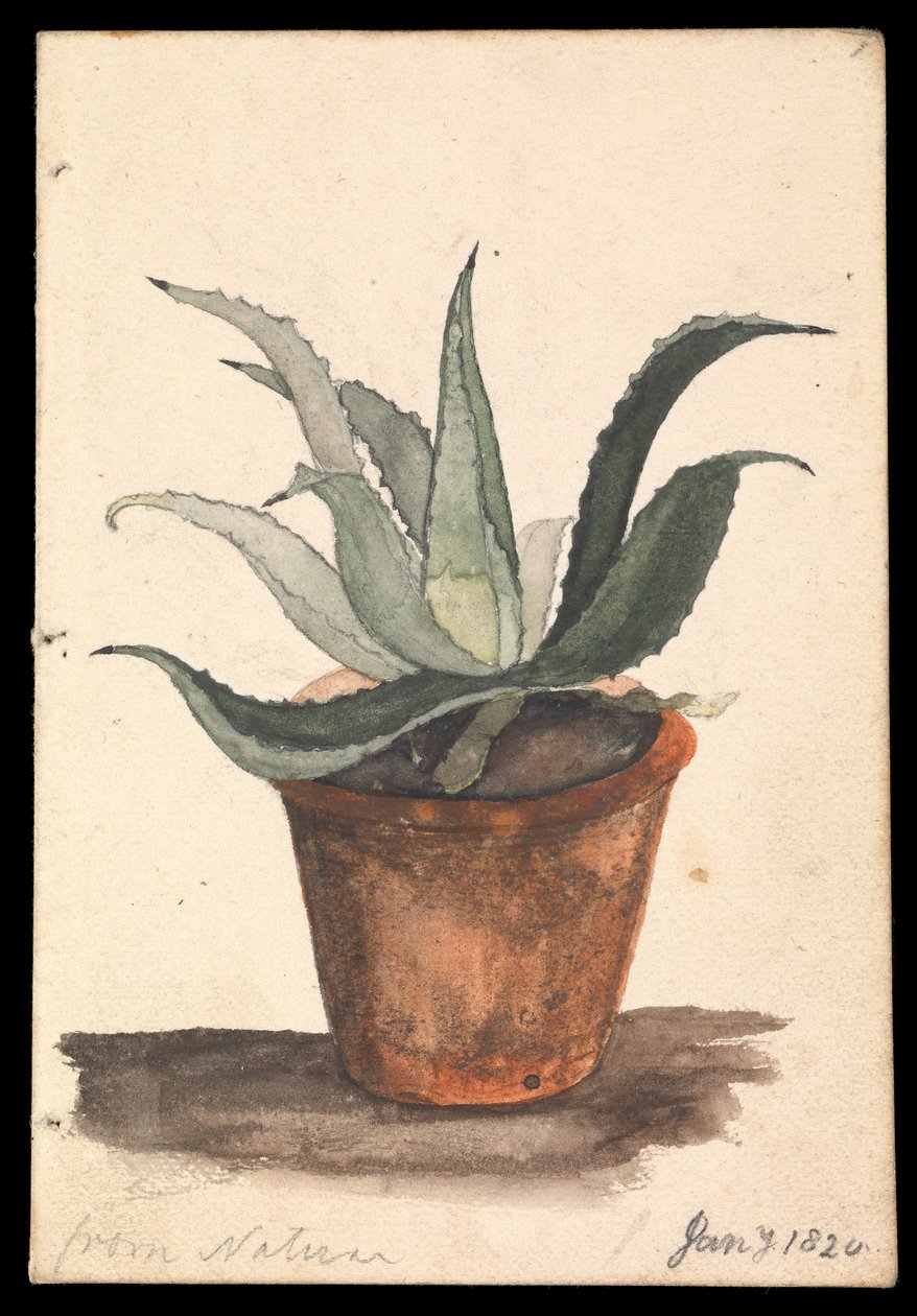  by Edward William Cooke