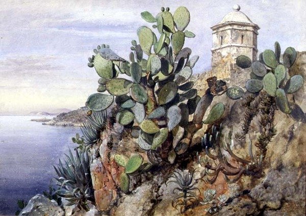 Kaktüs dikenli armut, Monako by Edward William Cooke