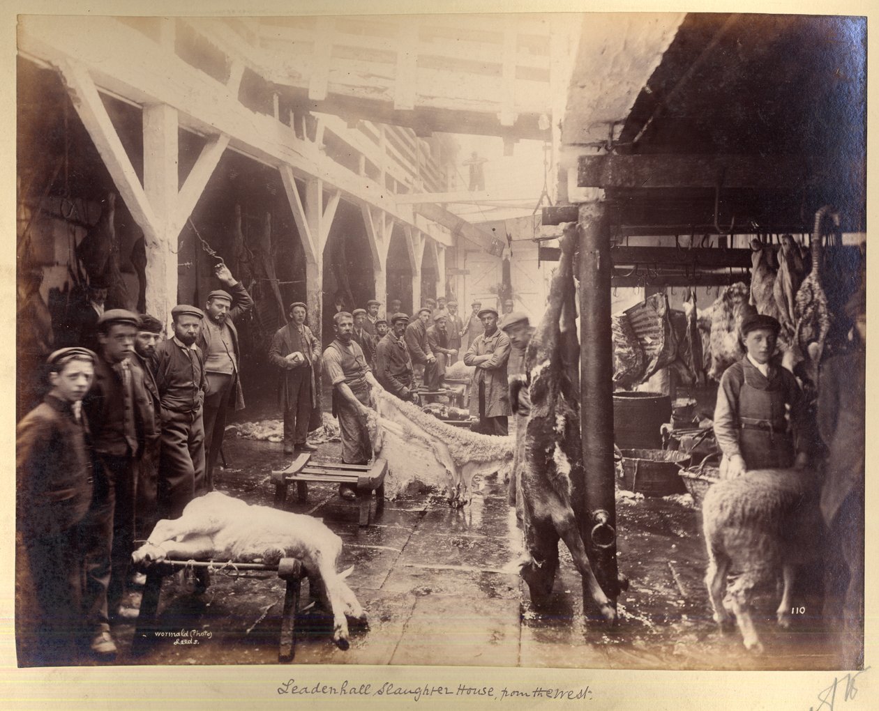 Batıdan Leadenhall Slaughter House, by Edward Wormald