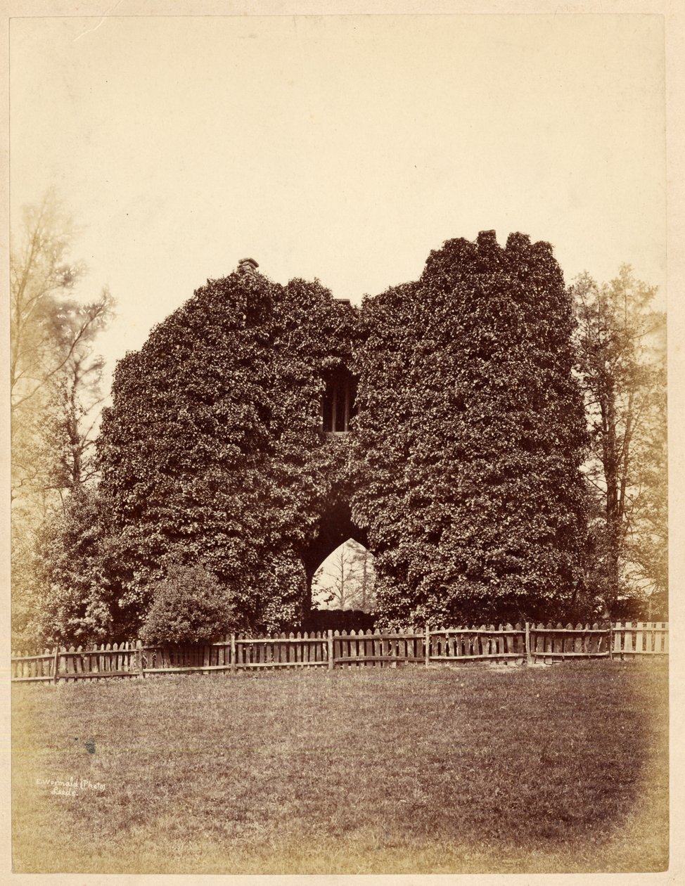 Roundhay Park