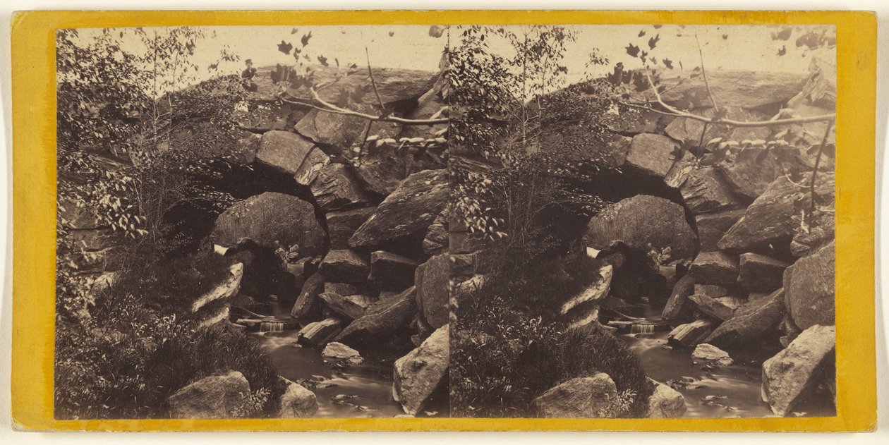  by Edward and Henry T. Anthony and Co.