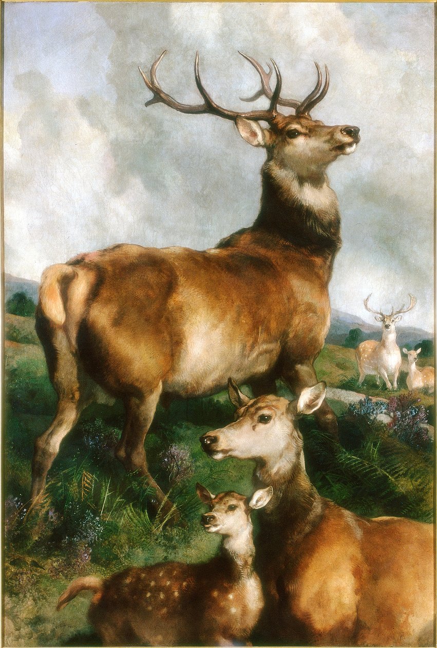 Chillingham Park Geyiği, Northumberland, 1867 dolayları by Edwin Landseer