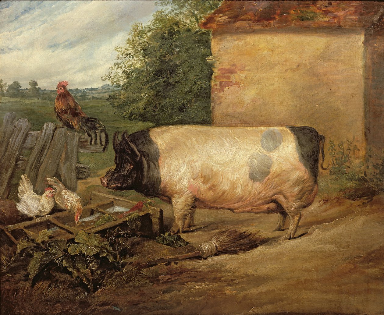 Ödül domuzun portresi, Essex'li Squire Weston'a ait, 1810 by Edwin Landseer