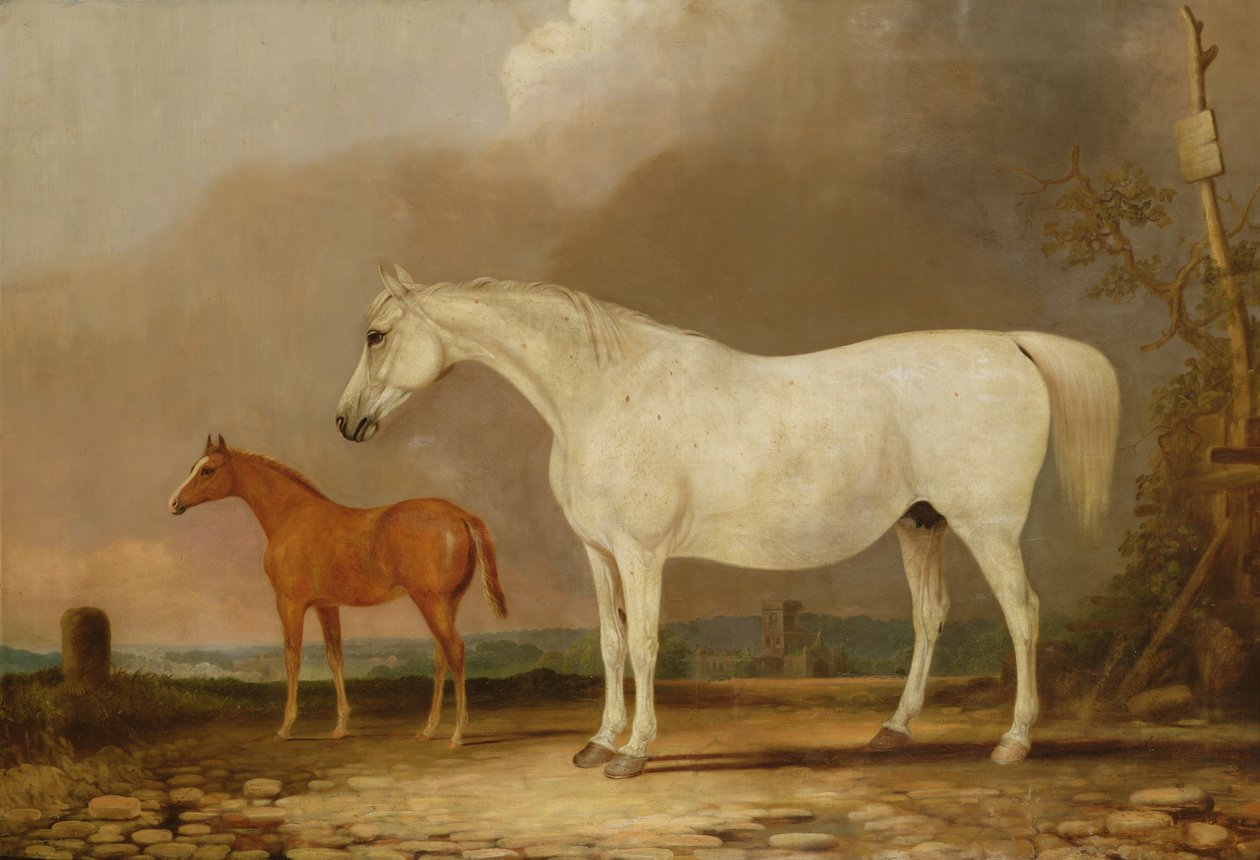 Bilinmeyen resim by Edwin Cooper