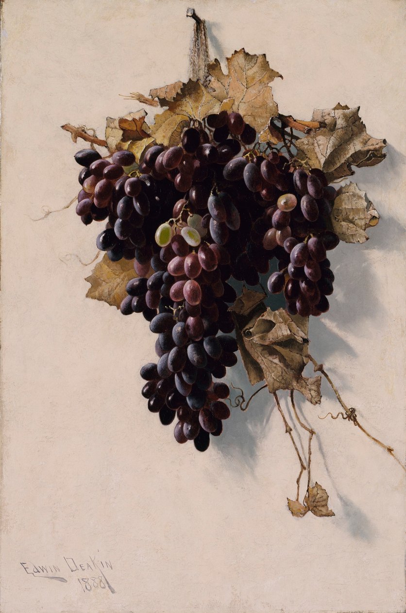  by Edwin Deakin