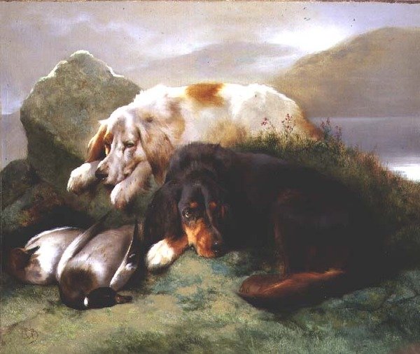İngiliz ve Gordon Setters, Mallard ile by Edwin Douglas