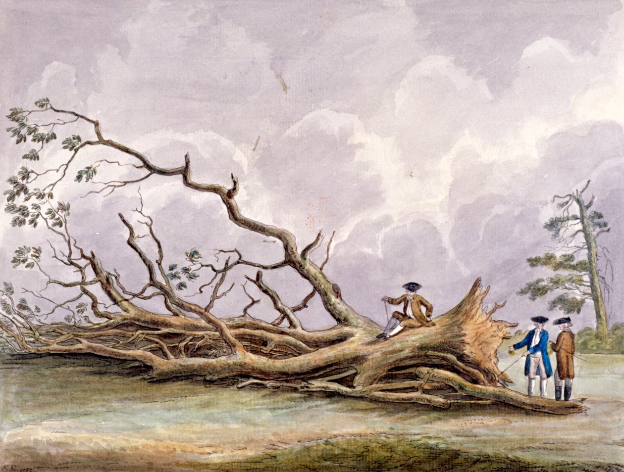 15 Ekim fırtınasında hasar gören ağaçlar, Roehampton, Londra, 1780 by Edwin Edwards