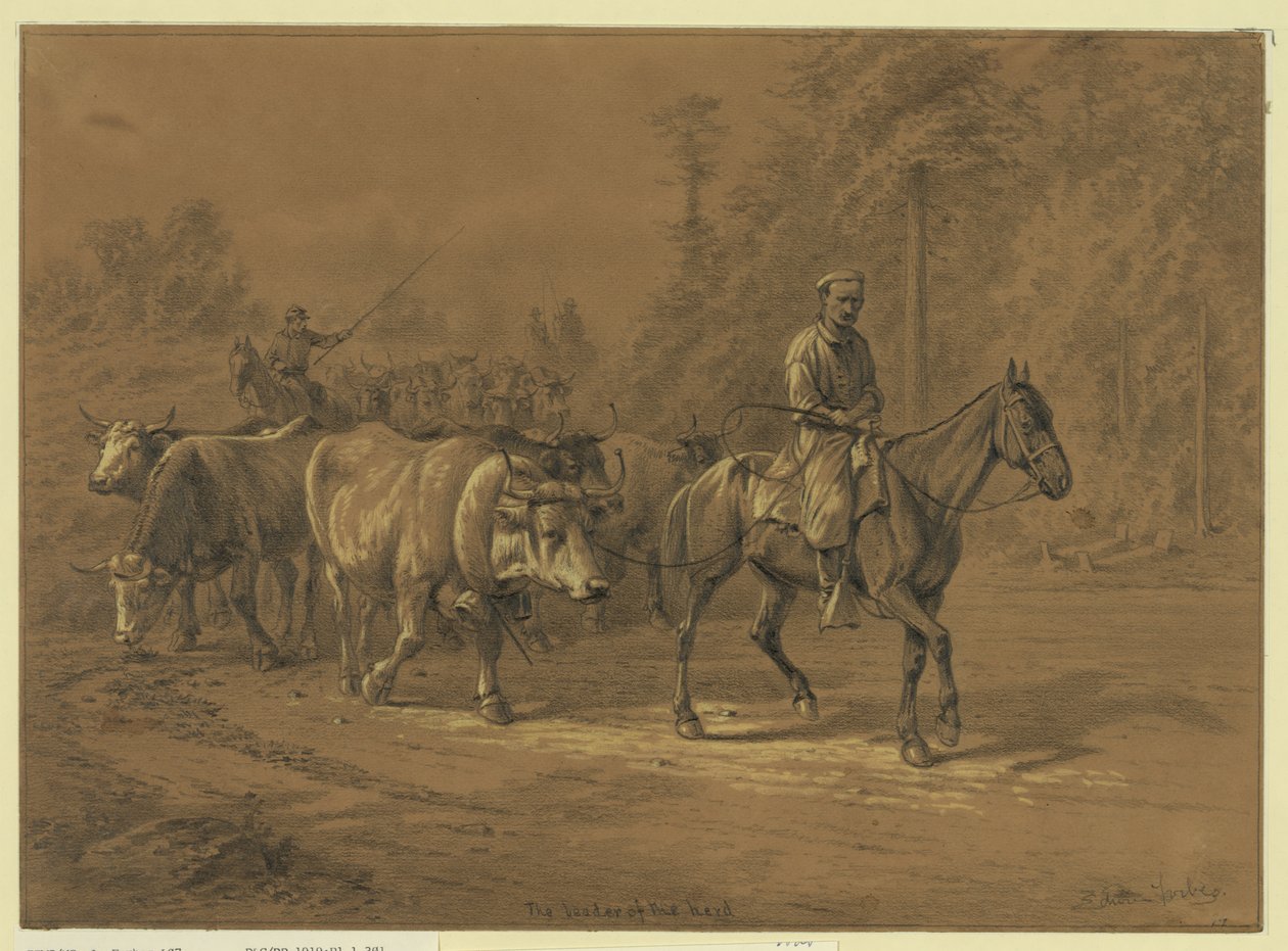 Sürünün lideri Özet/orta: 1 çizim. by Edwin Forbes