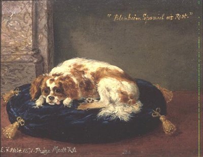 Blenheim Spaniel Dinlenme Halinde by Edwin Frederick Holt