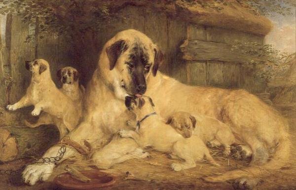 Doğanın Tek Dokunuşu Tüm Dünyayı Kin Kılıyor by Edwin Frederick Holt