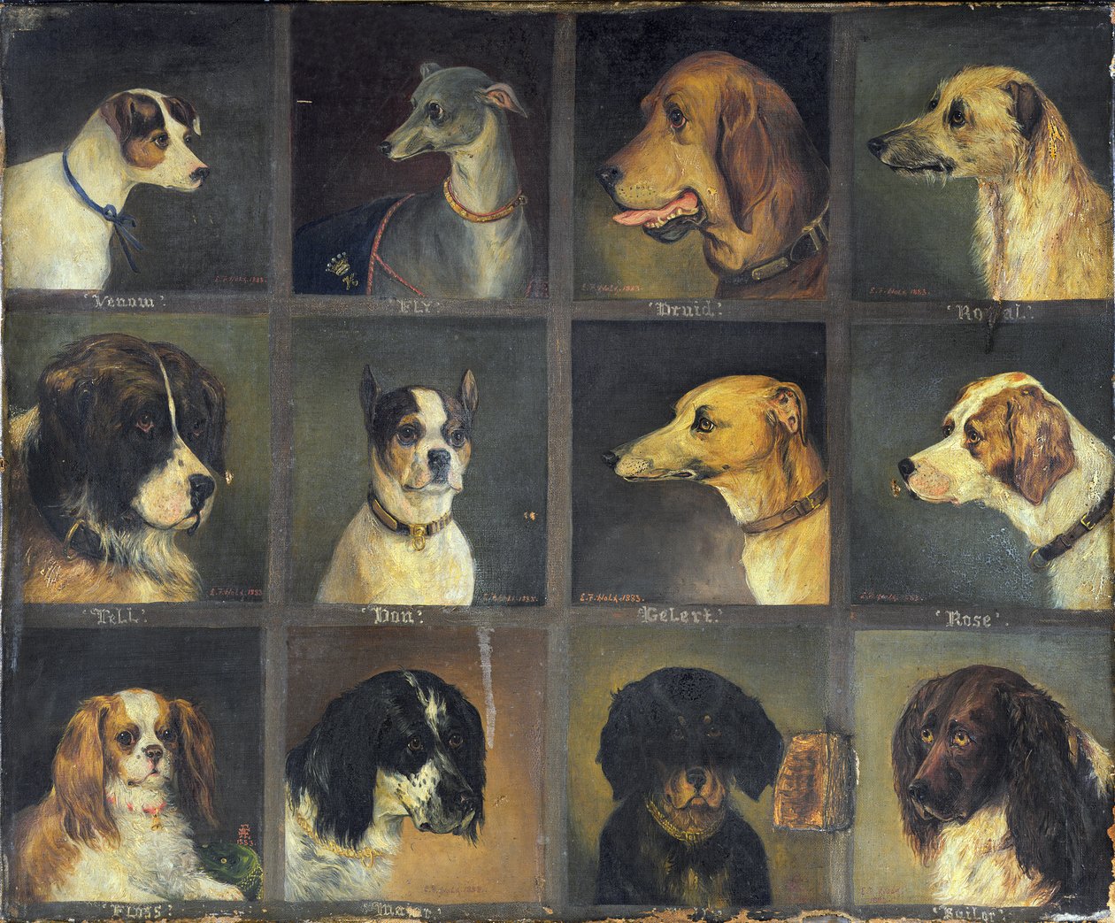 En Sevilen On İki Köpek, 1883 by Edwin Frederick Holt