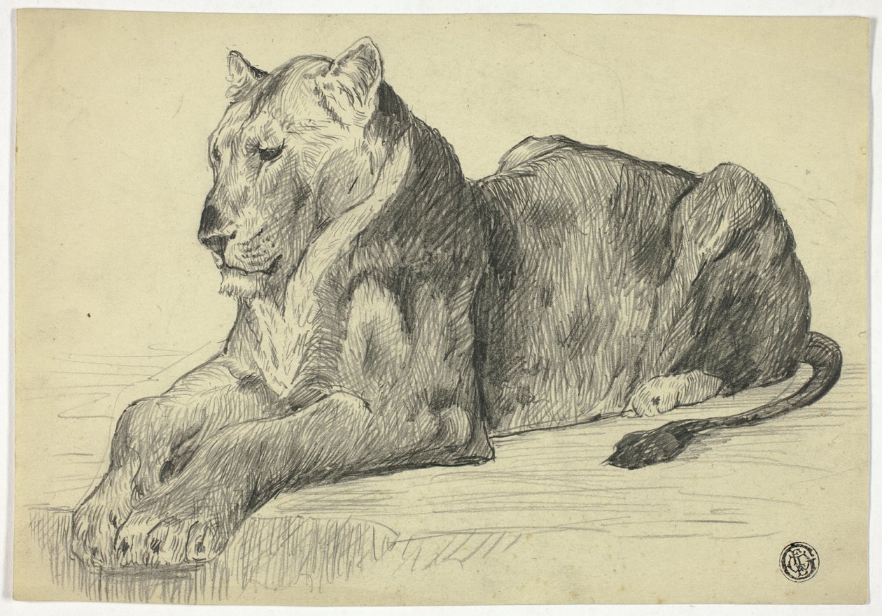 dişi aslan by Edwin Henry Landseer