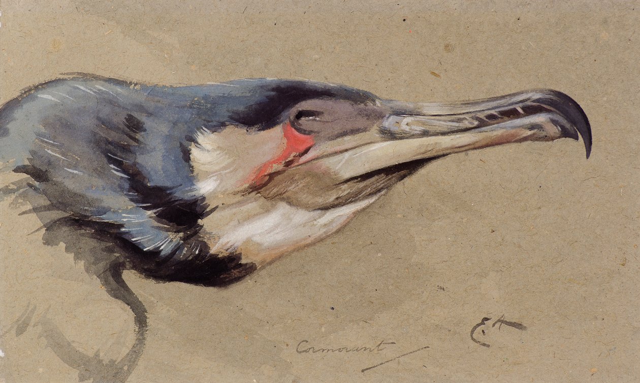 Karabatak (suluboya) by Edwin John Alexander