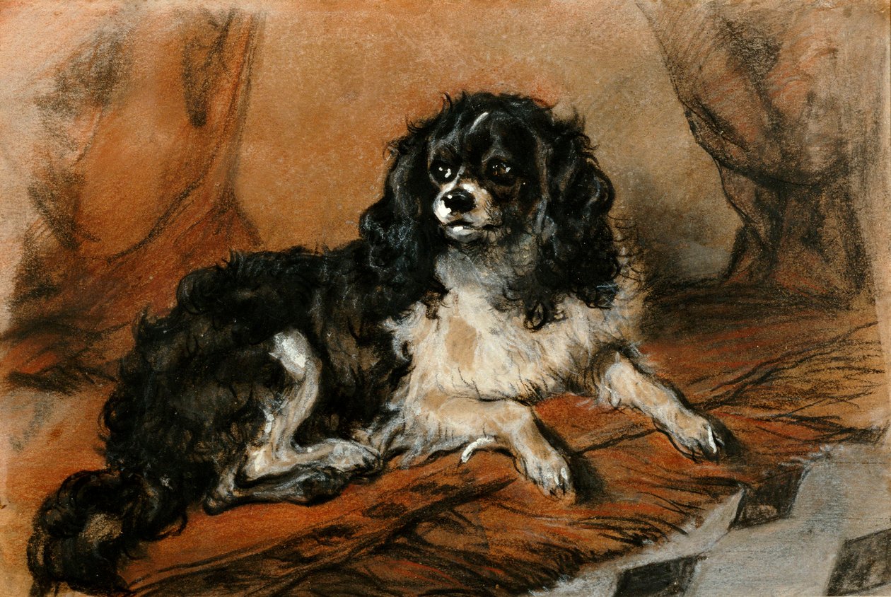 Bir Kral Charles Spaniel by Edwin Landseer