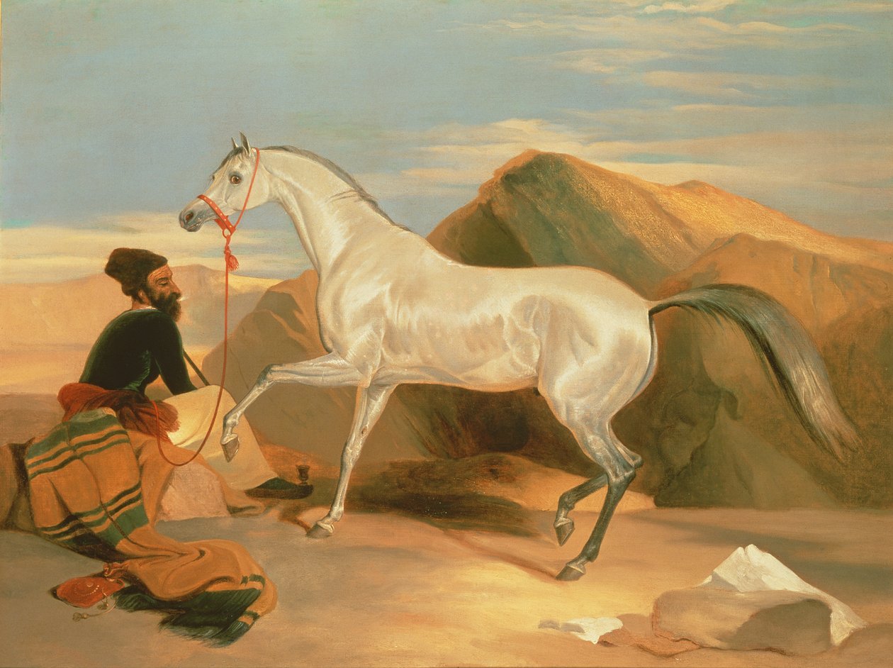 Arap Aygırı by Edwin Landseer