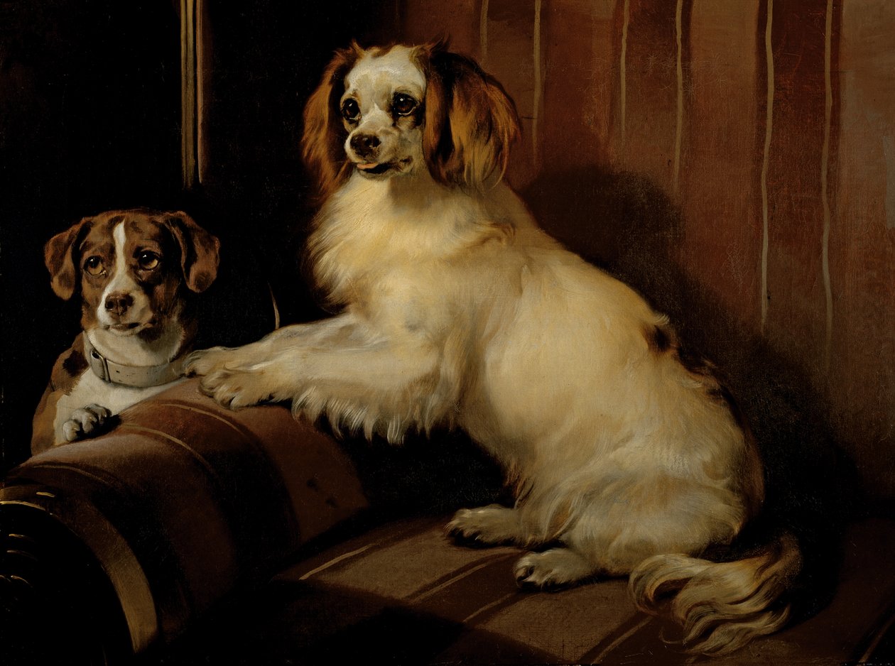 Bon(e)y ve Var, c.1843 (tuval üzerine yağlı boya) by Edwin Landseer