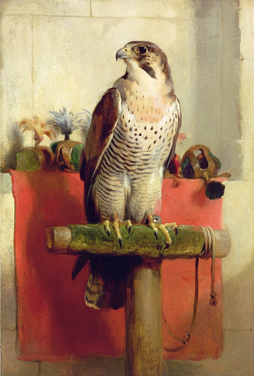 Şahin, 1837 by Edwin Landseer