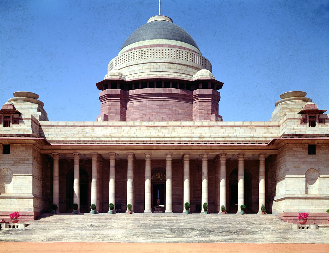 Viceroy