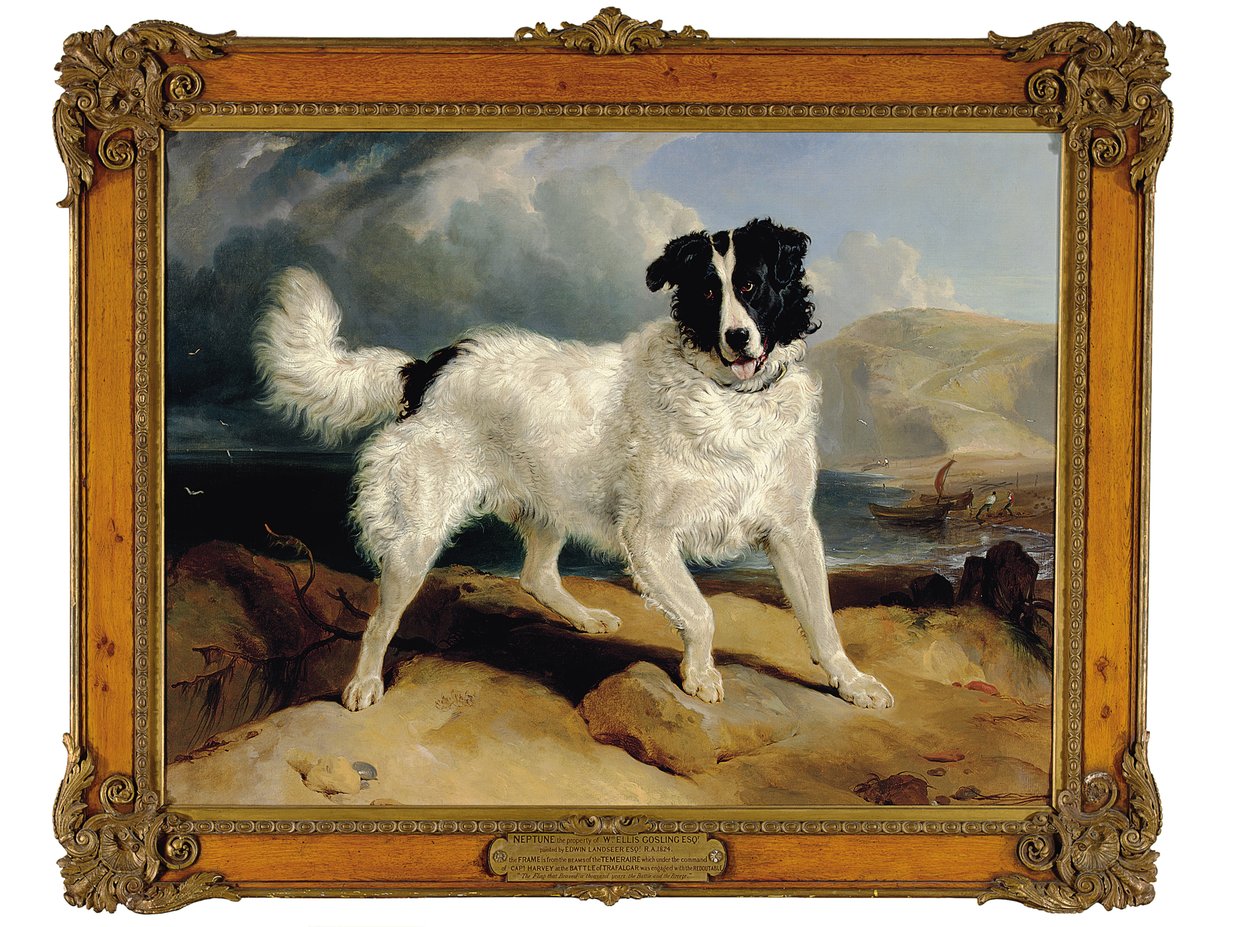 Neptün, William Ellis Gosling