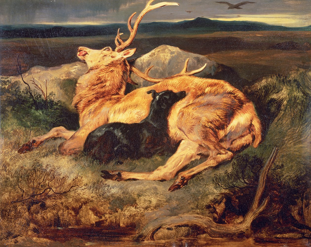 geyik by Edwin Landseer