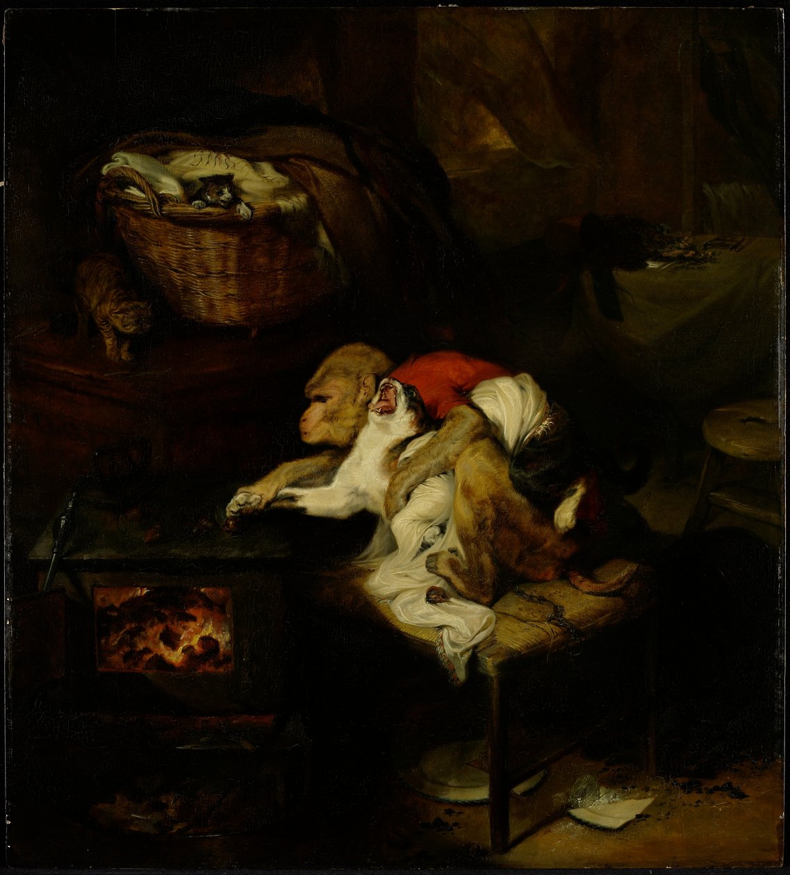 Kedinin Pençesi, c.1824 (çalışma için bakınız 488149) by Edwin Landseer