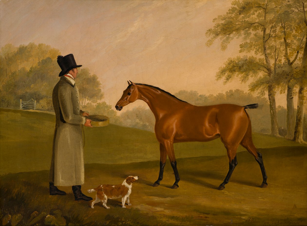 Damatla Bir Manzarada Bir At, David, Bennet, c.1805 (tuval üzerine yağlı boya) by Edwin W. Cooper