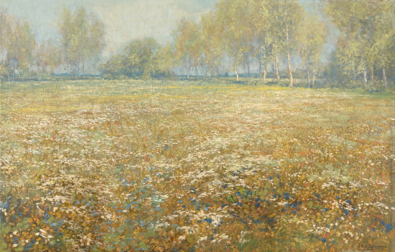 çiçek açan çayır by Egbert Schaap