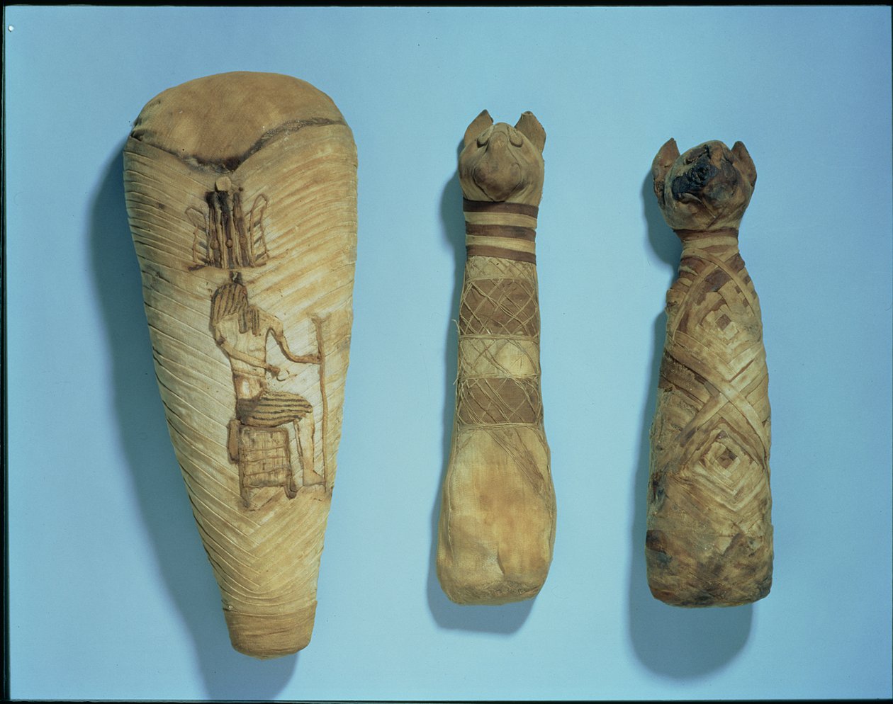 Mumyalanmış kediler ve ibis by Egyptian