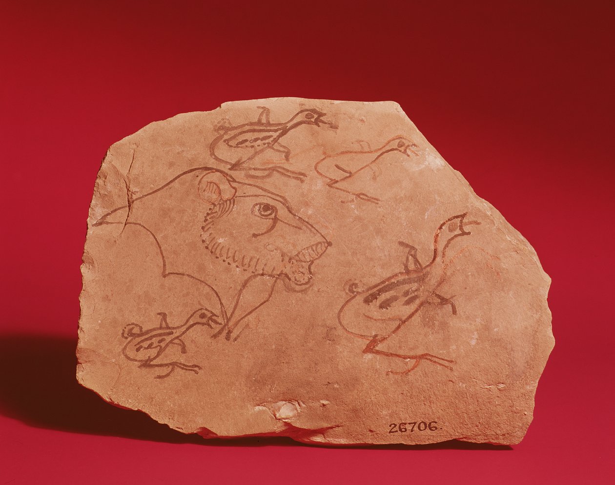 Bir aslan başı ve muhtemelen Thebes, 19.-20. Hanedan