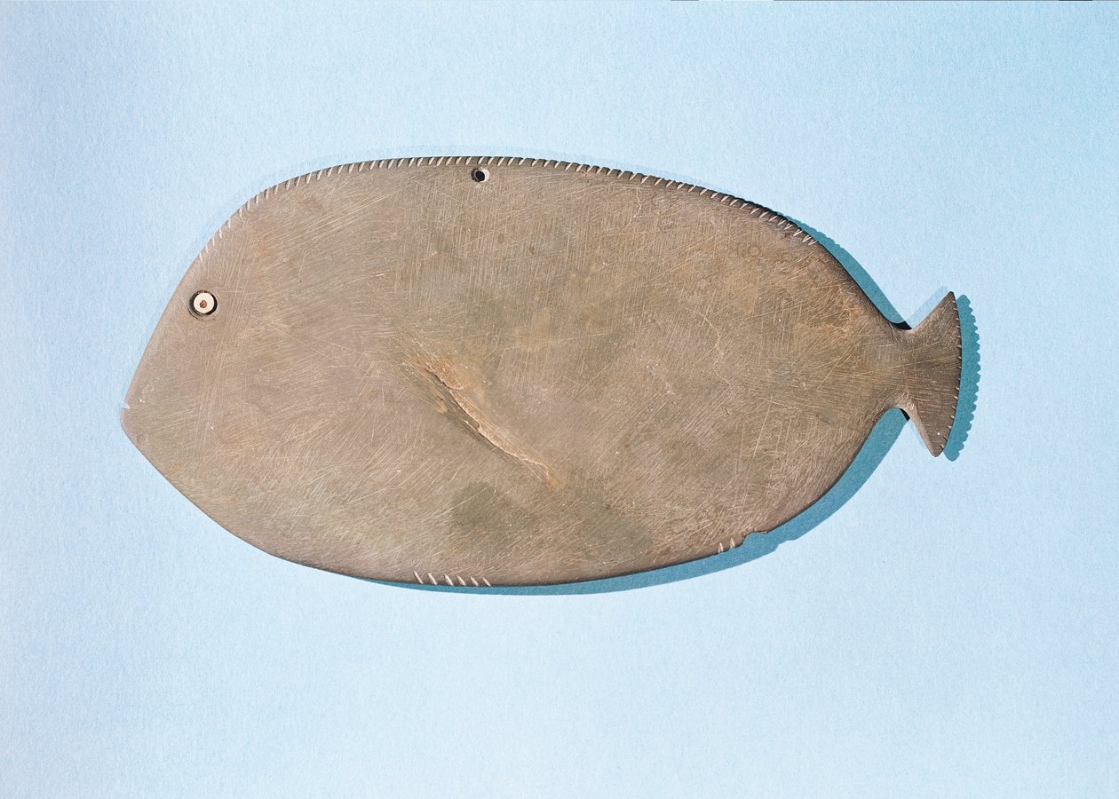 Balık şeklindeki palet, Hanedan Öncesi Dönem (MÖ 5000-3100) (şist) by Egyptian