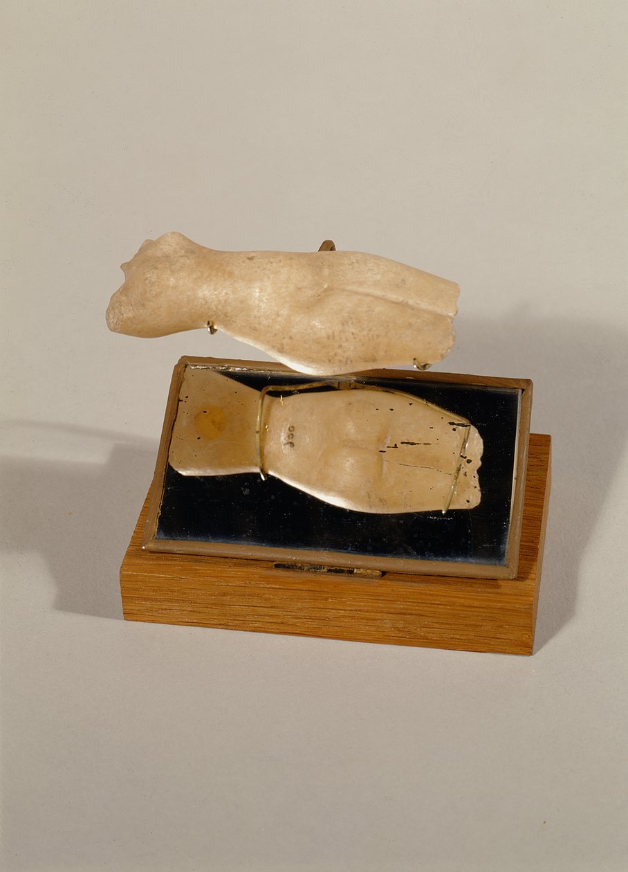 Bir kadının gövdesi, Yeni Krallık (kaymaktaşı) by Egyptian 18th Dynasty