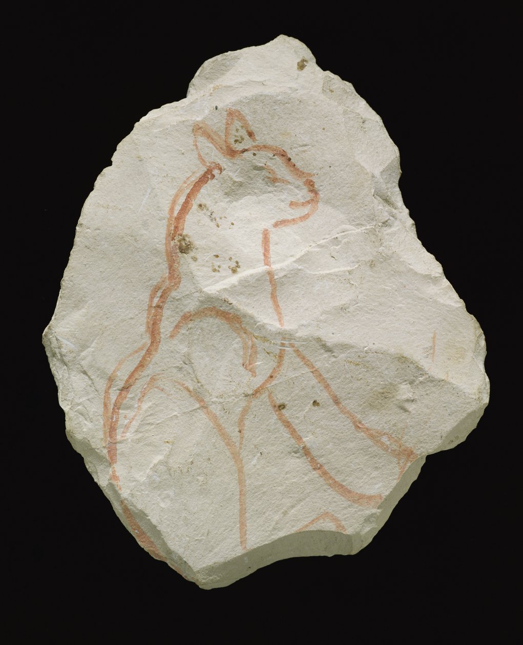 Ostracon, oturan bir kediyi tasvir ediyor, New Kingdom (kireçtaşı pulu) by Egyptian 19th Dynasty