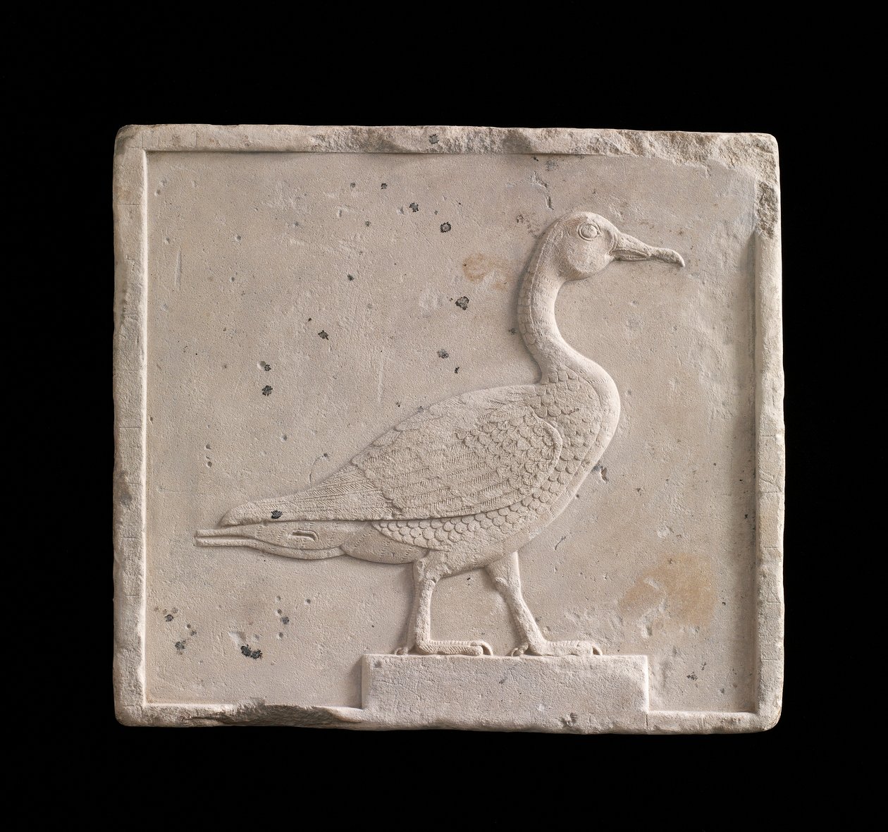 Kaz, 26. Hanedan veya Saite dönemi, MÖ 664-525 veya sonrası kireçtaşı betimleyen plaket by Egyptian 26th Dynasty