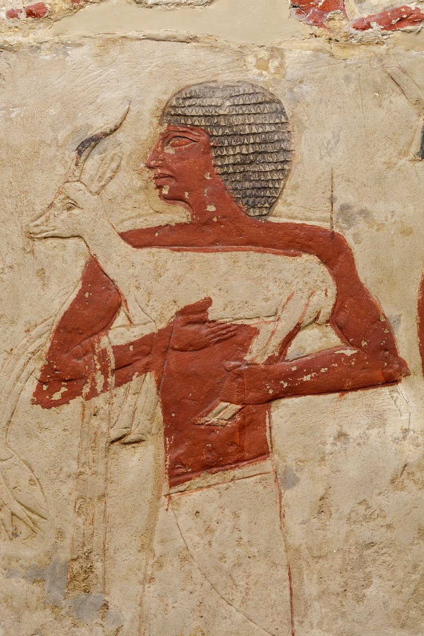Mastaba Tomb of Perneb, c.2381–2323 BC (limestone and paint) by Egyptian 5th Dynasty