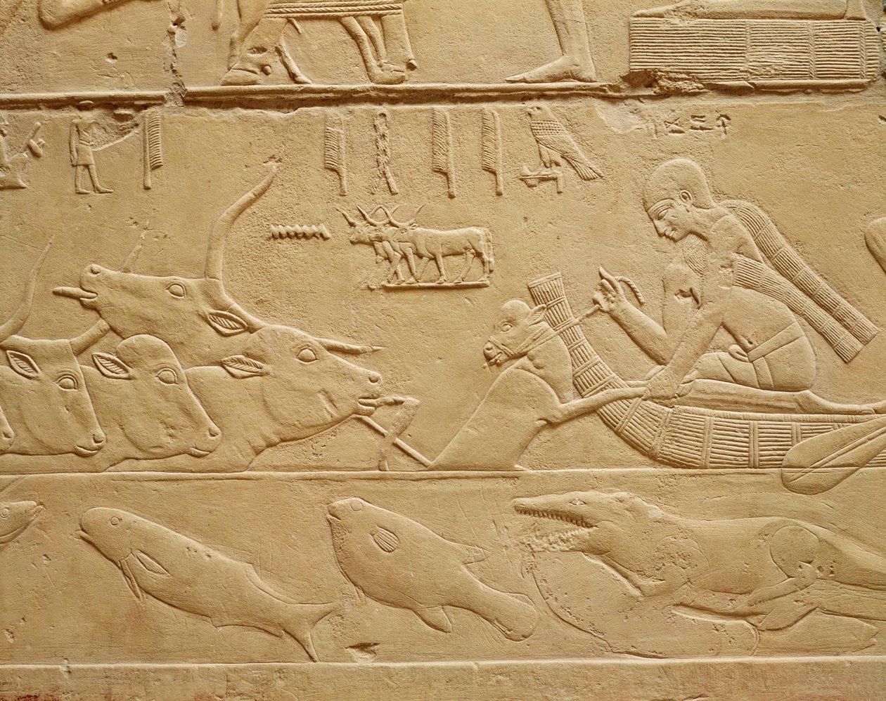 Kagemni taşından Mastaba'dan bir ford geçen sığır by Egyptian 6th Dynasty