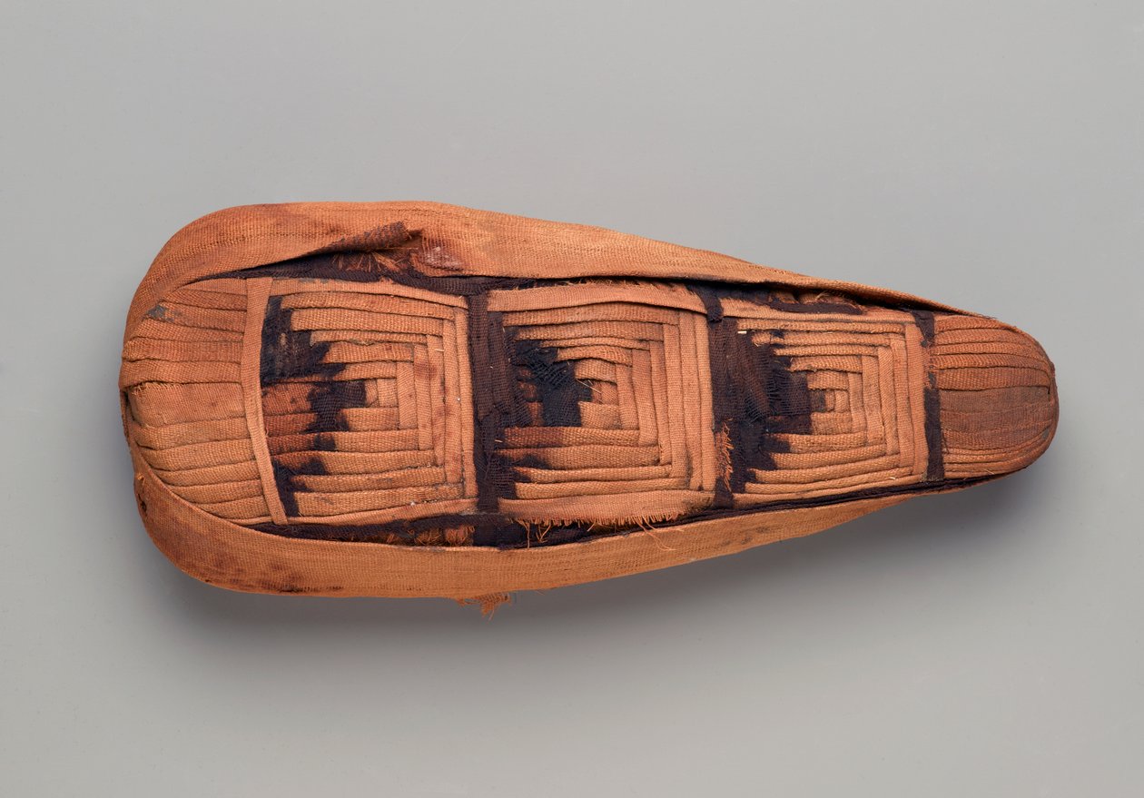 Bir ibis mumyası (hayvan kalıntıları, keten ve boya) by Egyptian