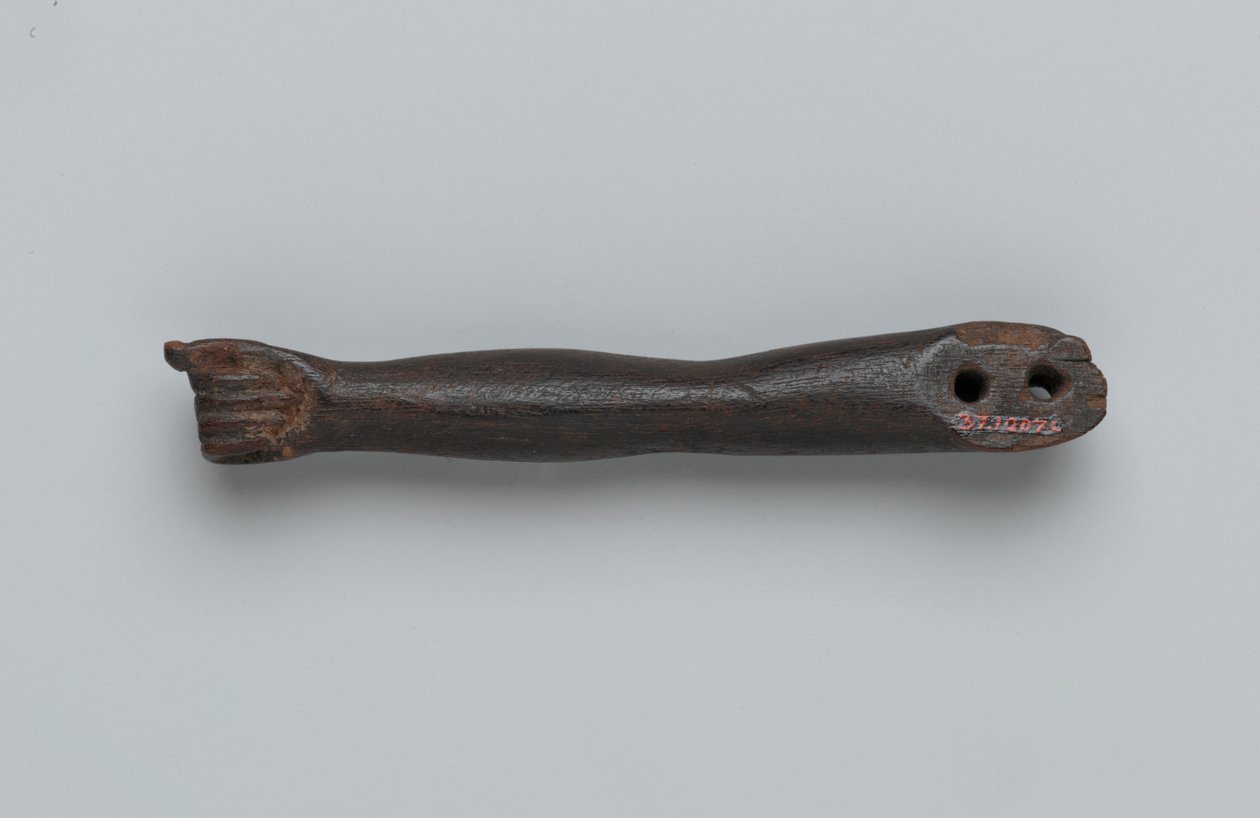 Bir heykelden küçük kol (tahta) by Egyptian