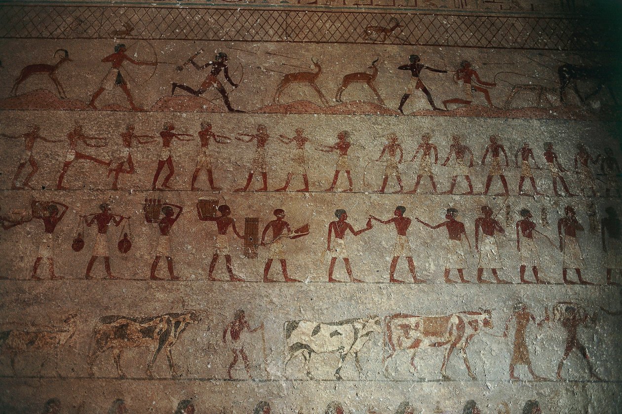 Beni-Hasan Mezarlığı. Amenemhat Mezarı, detay: av sahnelerini ve taşra yaşamını tasvir eden duvar resimleri by Egyptian 12th Dynasty