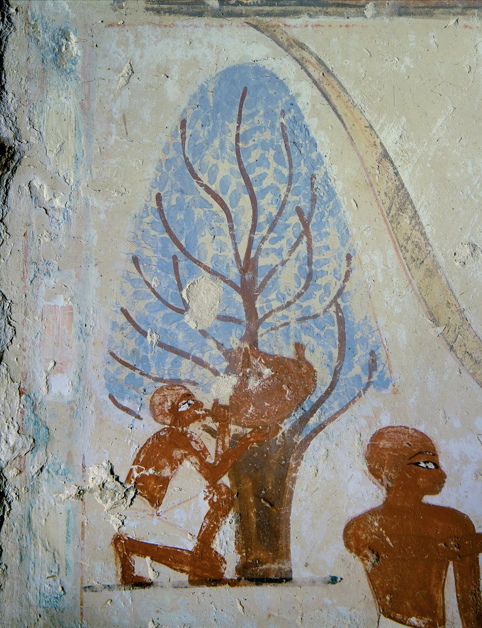  by Egyptian 18th Dynasty