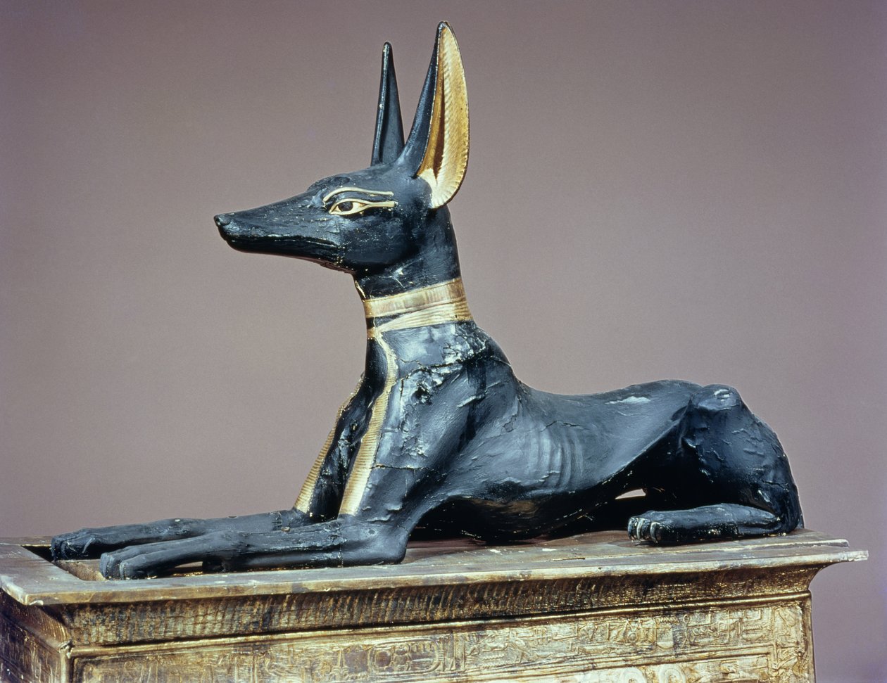 Anubis, Tutankhamun