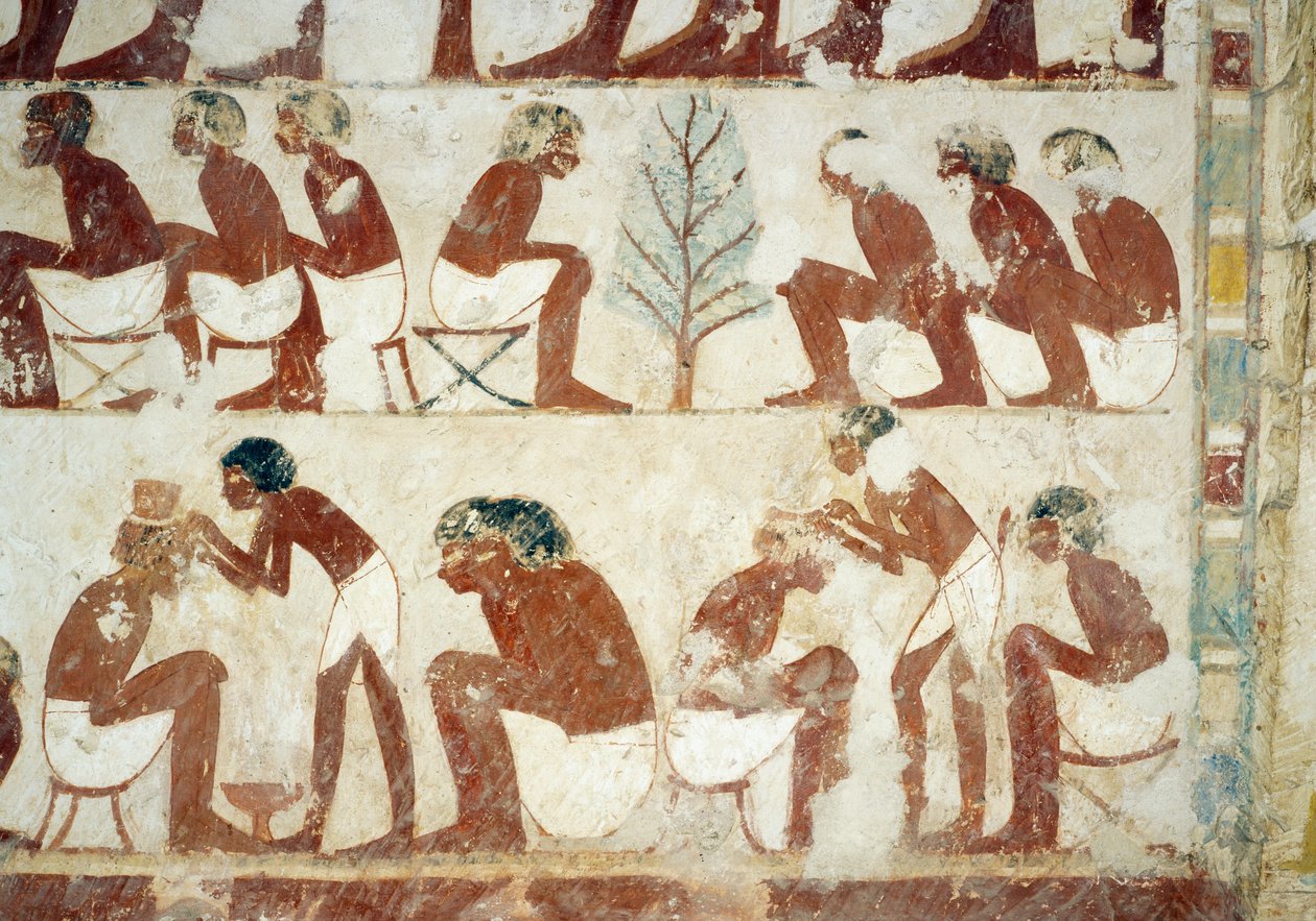 II. Amenhotep döneminde askerlerin saçlarının kesilmesi, fresk, güney duvarı, batı enine odası, Userhat Türbesi, öğretmen ve katip, mezar TT56, Şeyh Abd el-Qurna, Thebes olarak da bilinir. Mısır uygarlığı, Yeni Krallık, Hanedan XVIII. by Egyptian 18th Dynasty