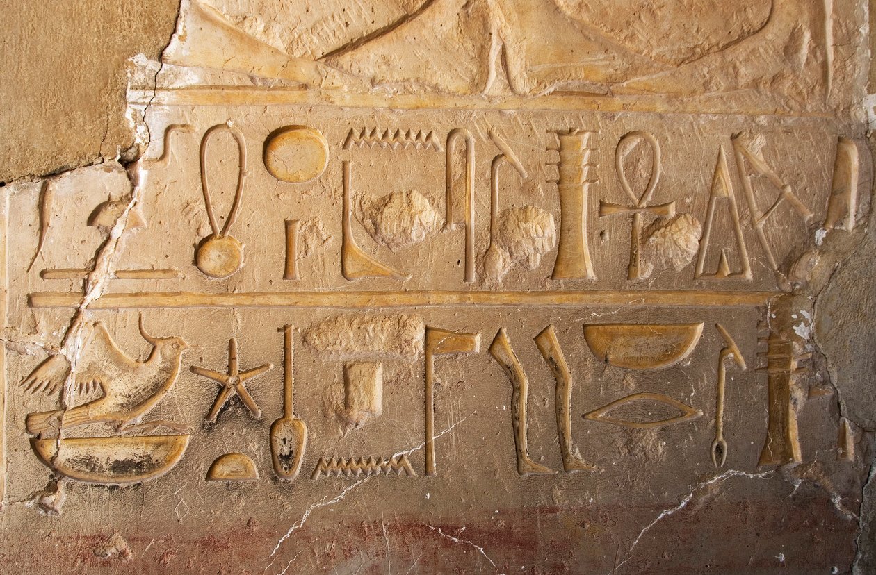Mısır antikası: uzun ömür ve refahı temsil eden kartuş ve hiyeroglifli bir yazıtın detayı. Kraliçe Hatshepsut