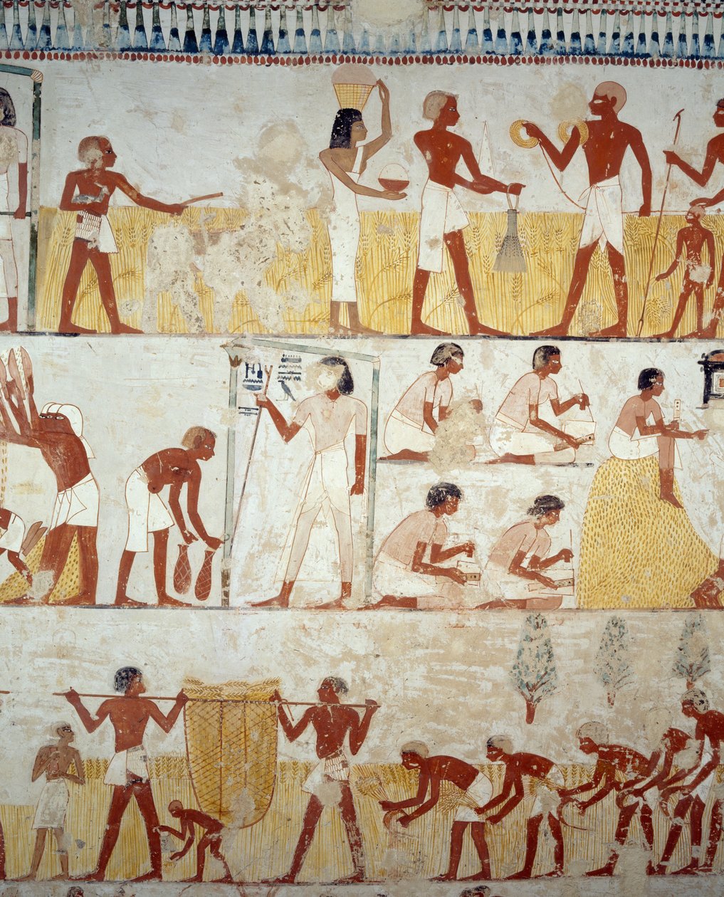Mahsul hasadı, tahılların harmanlanması ve harmanlanması, Menna Mezarı, Şeyh Abd el Qurnah Nekropolü, Luksor, Thebes (Unesco Dünya Mirası Listesi) girişindeki fresklerden detay by Egyptian 18th Dynasty