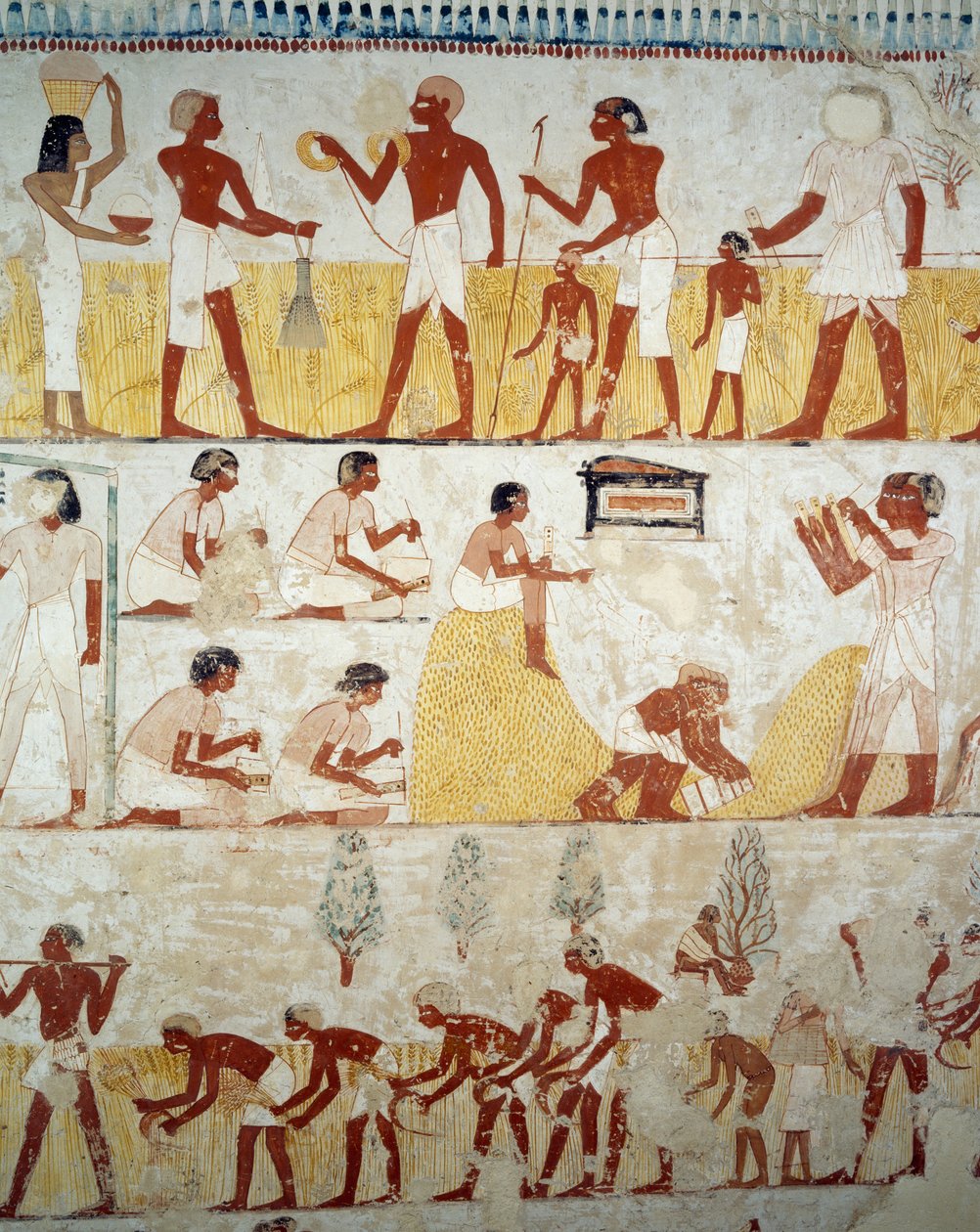 Mahsul hasadı, tahılların harmanlanması ve harmanlanması, Menna Mezarı, Şeyh Abd el Qurnah Nekropolü, Luksor, Thebes (Unesco Dünya Mirası Listesi) girişindeki fresklerden detay by Egyptian 18th Dynasty