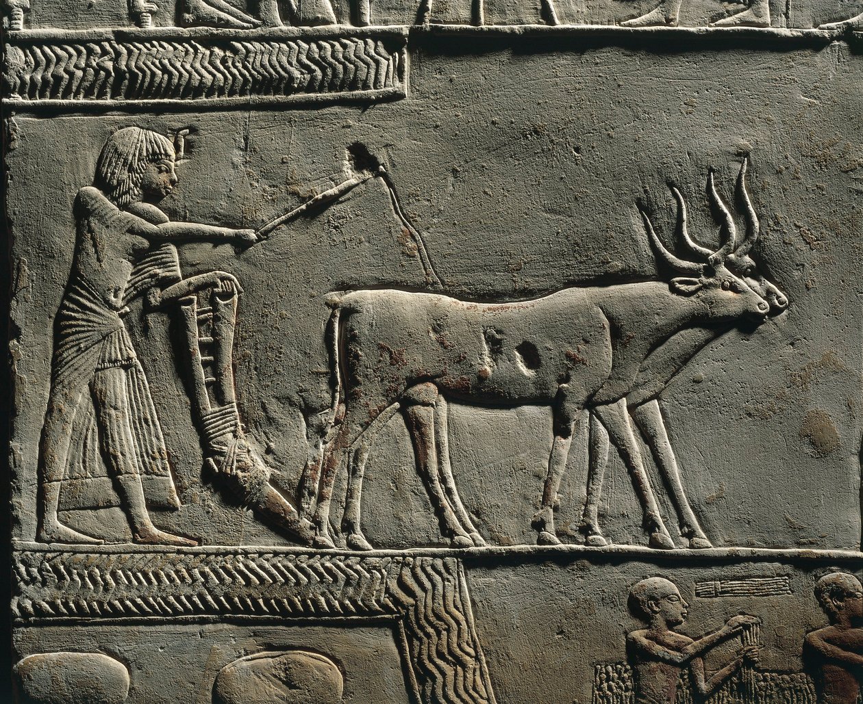  by Egyptian 18th Dynasty