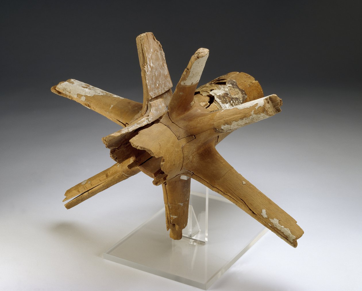 Araba tekerleği göbeği ve parmaklıkları (karaağaç ve demirhindi ağacı, alçı ve ham deri bağlamalı) by Egyptian 18th Dynasty