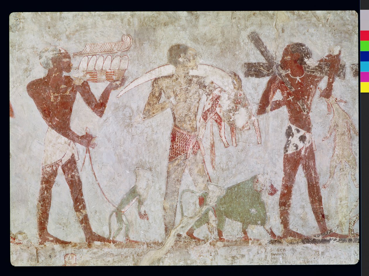 Tuthmosis III ve Amenhotep II