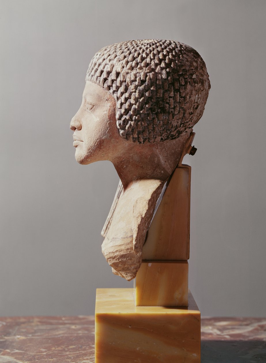 Akhenaten, Yeni Krallık ailesinden bir prensesin başının sol profili (boyalı kireçtaşı) (ayrıca bkz. 107940, 116813, 370211) by Egyptian 18th Dynasty
