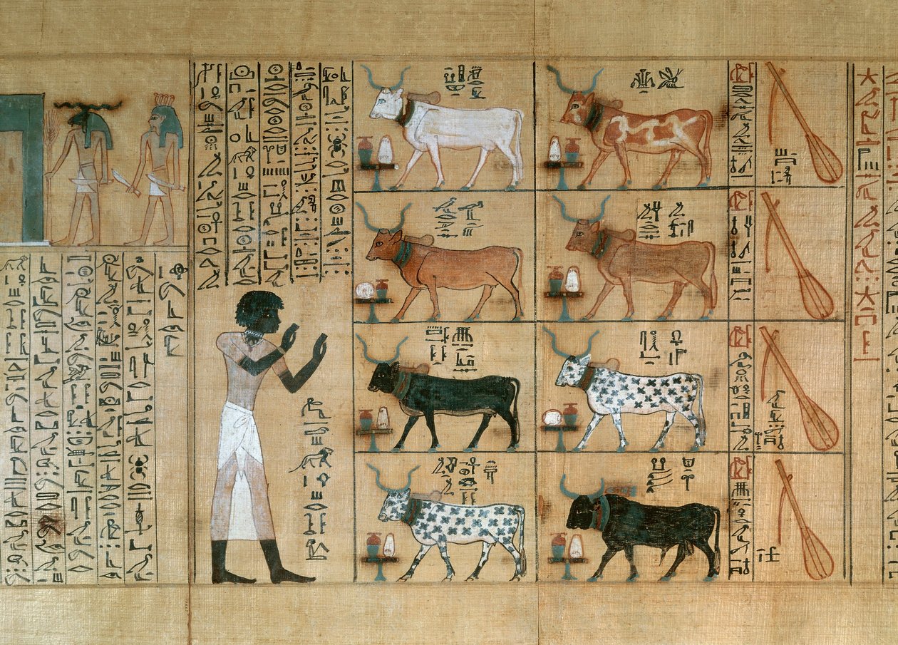  by Egyptian 18th Dynasty